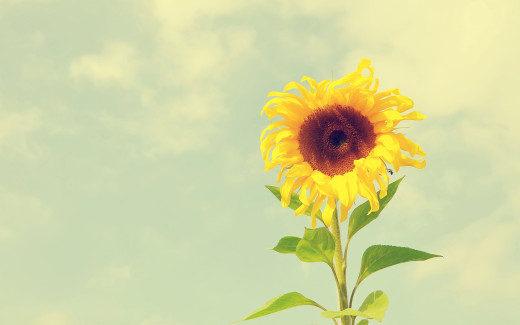 579481 (a): :1920x1200